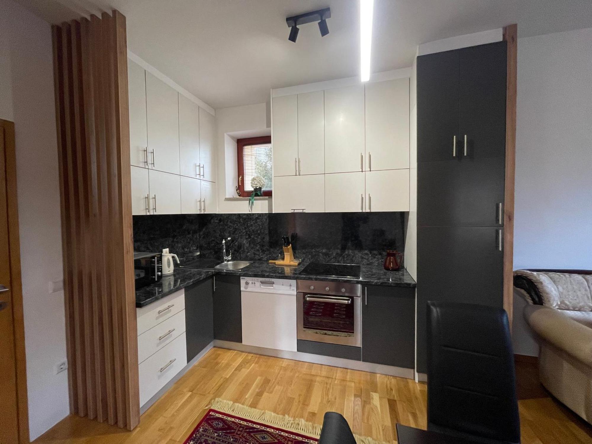 Apartment Logavina *
